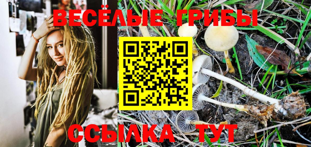 Галлюциногенные грибы Psilocybine cubensis  Галлюциногенные грибы Cubensis  Вход с VPN  Черкесск 